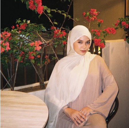 Ameena Viscose